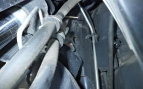 HONDA LEAD 110 2024 JF19