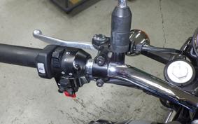 KAWASAKI W800 2021 EJ800B