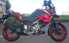 SUZUKI DL1050 (V-Strom 1050) EF11M