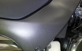 HONDA HORNET 250 2001 MC31