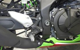 KAWASAKI ZX-4RR 2023 ZX400P