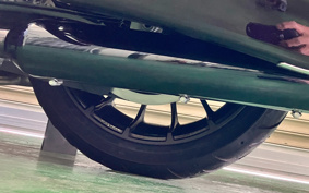 HARLEY  HARLEY FLHXSE CVO 2019 PXL