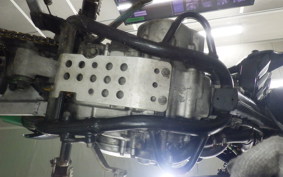 KAWASAKI KLX250D TRACKER 2007 LX250E