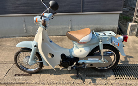 HONDA LITTLE CUB AA01