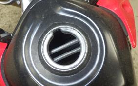 HONDA CRF250L 2024 MD44