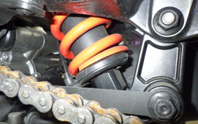 HARLEY ﾊﾟﾝ AMERICA1250S 2023