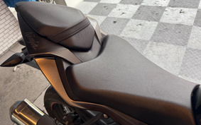 KAWASAKI NINJA ZX-6R 2022 ZX636G