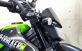 KAWASAKI KLX125D TRACKER X LX250V
