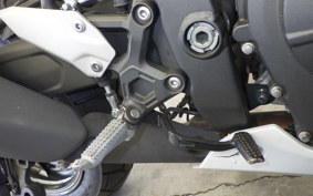 KAWASAKI ZX-4R SE 2025 ZX400P