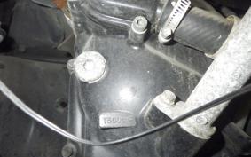 YAMAHA MAXAM 250 Trike SG17J