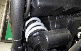 TRIUMPH SPEED400 2024