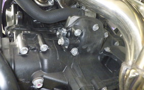 KAWASAKI Z900RS 2025 ZR900K