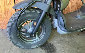 HONDA ZOOMER SPECIAL EDITION AF58