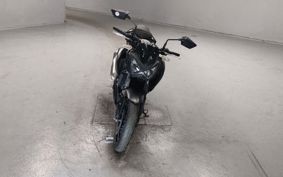 KAWASAKI Z250 ER250C