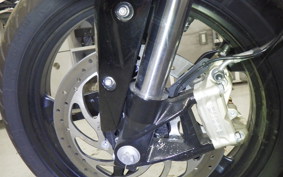 BMW G310R 2024