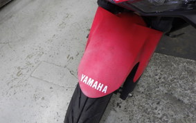 YAMAHA YZF-R25 2009 RG10J