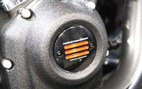 HARLEY FXLRS 2025 YWZ