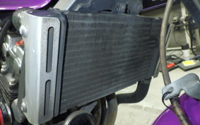 HONDA HORNET 250 2021 MC31