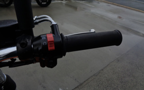 KAWASAKI W800 2017 EJ800A