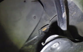 HONDA PC800 PACIFIC COAST 2021 RC34