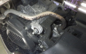 HONDA GIORNO 3 2002 AF77