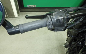 HARLEY XG750 STREET ROD 2020