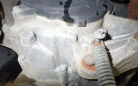 HONDA TODAY 2024 AF61