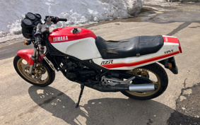YAMAHA RZ250R 29L