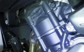 TRIUMPH TRIDENT 660 2021