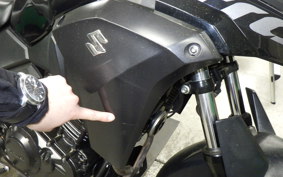 SUZUKI Vｽﾄﾛｰﾑ250