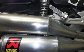 YAMAHA ZEAL 3YX