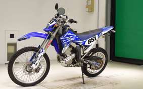 YAMAHA WR250R 2010 DG15J