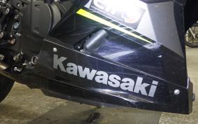 KAWASAKI NINJA 400 2019 EX400G