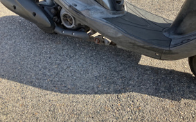 YAMAHA AKUSHI STREET SE53J