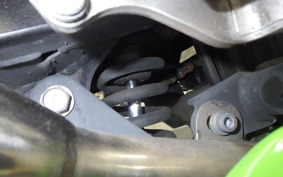 KAWASAKI NINJA 250 ABS EX250L