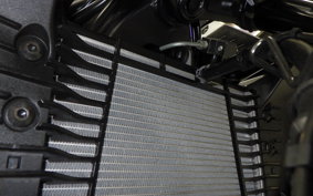 YAMAHA MT-25 A 2025 RG43J