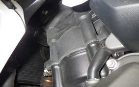 TRIUMPH DAYTONA660 2024