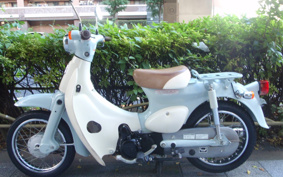 HONDA LITTLE CUB AA01