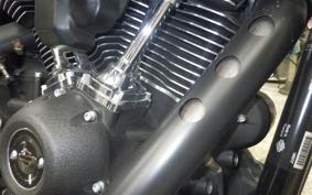 HARLEY FXLRST1920 2024