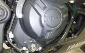 YAMAHA YZF-R3 2019 RH13J
