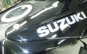 SUZUKI Vｽﾄﾛｰﾑ250SX 2011 EL11L