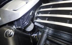 TRIUMPH SCRAMBLER400X 2025