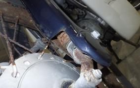 HONDA C50 SUPER CUB E 2017 C50