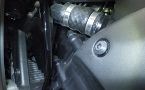 YAMAHA YZF-R1 2010 RN24J