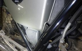HONDA GB250 CLUBMAN Gen.4 2024 MC10