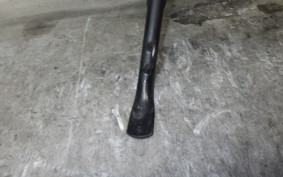 SUZUKI Vｽﾄﾛｰﾑ1000XTA 2019 VU51A