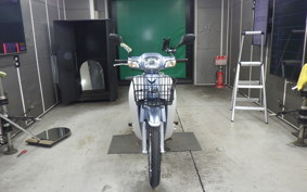 HONDA C110 SUPER CUB 2025 JA10