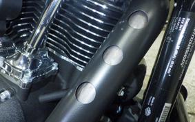 HARLEY FXLRST1920 2025