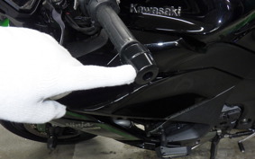 KAWASAKI NINJA 1000SX 2021 ZXT02K