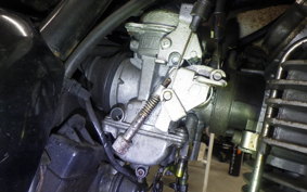 KAWASAKI ESTRELLA RS 2021 BJ250A